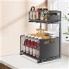 LANTUS Organizzatore Sotto Lavello, Organizzatore da Cucina con Cassetti Scorrevoli, Cestello Scorrevole, Portaspezie, per la Cucina, il Bagno, e la Camera da Letto 26,5 x 38 x 48,5 cm (Nero)