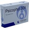 BIOGROUP SpA SOCIETA' BENEFIT Biogroup Psicophyt Remedy 30a 4 Tubi 1,2 G
