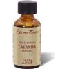 IDRO BATH Fragranza Aromatica Olio Essenziale Eucalipto 100 ml per Sauna e Bagno Turco