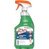 SC Johnson Professional Johnson Mr Muscle, detergente per vetri e finestre, 750 ml