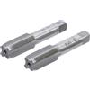 BGS 1900-M14X1.0-B | Set di maschi | M14 x 1,0 | 2 pz.