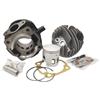 LG-MOTORS POWER ENGINEERING KT00049 - KIT CILINDRO IN GHISA A 10 TRAVASI 75 COMPATIBILE CON Ape 50 P Ape 50 Tm P Fl - Fl2 50 Fl3 50 Ape Mix 50 L R N 50 Special 50 Pk 50 S Pk 50 Xl Pk 50 Xl Rush - N 50 - V - Hp - Fl - Fl2 50