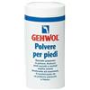 DUAL SANITALY SpA SOC.BENEFIT Gehwol Polvere Piedi 100g