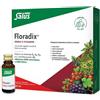 SALUS HAUS Gmbh & Co KG Floradix monodose 10 flaconcini da 20 ml