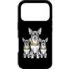 Cool 3 Hip Hop Trio Street Gold Chain Fu Custodia per iPhone 17 Pro Chihuahua Dog Rap Old School Retro Streetwear anni '80 '90 Tre