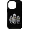 Cool 3 Hip Hop Trio Street Gold Chain Fu Custodia per iPhone 13 Pro African Grey Parrot Rap Old School Retro Streetwear anni '80 '90