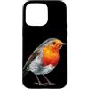 Robin Bird Outfit Custodia per iPhone 15 Pro Max Carino Robin Birds Look