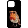 Robin Bird Outfit Custodia per iPhone 16 Pro Max Grafica divertente con pettirosso con gli occhiali