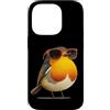 Robin Bird Outfit Custodia per iPhone 14 Pro Grazioso uccello con occhiali per gli amanti di pettirossi e piume