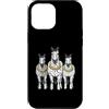 Cool 3 Hip Hop Trio Street Gold Chain Fu Custodia per iPhone 12 Pro Max Appaloosa Horse Rap Old School Retro Streetwear anni '80 e '90