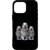 Cool 3 Hip Hop Trio Street Gold Chain Fu Custodia per iPhone 16 Pro Max African Grey Parrot Rap Old School Retro Streetwear anni '80 '90