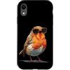 Robin Bird Outfit Custodia per iPhone XR Occhiali da sole per gli amanti di pettirossi e piume