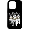 Cool 3 Hip Hop Trio Street Gold Chain Fu Custodia per iPhone 15 Pro Rat Terrier Rap Rap Old School Retro Streetwear anni '80 e '90