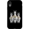 Cool 3 Hip Hop Trio Street Gold Chain Fu Custodia per iPhone XR Lama Alpaca Rap Old School Retro Streetwear 80s 90s Three