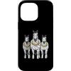 Cool 3 Hip Hop Trio Street Gold Chain Fu Custodia per iPhone 14 Pro Max Appaloosa Horse Rap Old School Retro Streetwear anni '80 e '90
