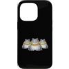 Cool 3 Hip Hop Trio Street Gold Chain Fu Custodia per iPhone 13 Pro Rana Rospo Anfibio Rap Old School Retro Streetwear 80s 90s