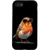 Robin Bird Outfit Custodia per iPhone SE (2020) / 7/8 Occhiali da sole per gli amanti di pettirossi e piume