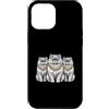 Cool 3 Hip Hop Trio Street Gold Chain Fu Custodia per iPhone 12 Pro Max Gatto persiano Rap Old School Retro Streetwear 80s 90s Tre
