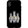 Cool 3 Hip Hop Trio Street Gold Chain Fu Custodia per iPhone X/XS Lama Alpaca Rap Old School Retro Streetwear 80s 90s Three