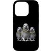 Cool 3 Hip Hop Trio Street Gold Chain Fu Custodia per iPhone 14 Pro African Grey Parrot Rap Old School Retro Streetwear anni '80 '90