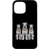 Cool 3 Hip Hop Trio Street Gold Chain Fu Custodia per iPhone 13 Pro Max Irish Wolfhound Dog Rap Old School Retro Streetwear anni '80 '90