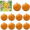 XZHDNLY Trappole Per Mosche Della Frutta Da Appendere, 10 Pezzi Trappola Adesiva A Sfera Per Insetti Volanti, Riutilizzabile E Impermeabile, Per Giardino Frutteto Serra Cucina Fattoria (Arancione)
