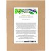 Magic Garden Seeds Erbe messicane - set di semi con 4 erbe culinarie tradizionali per tacos, burritos e tortillas