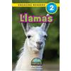 Jared Siemens Ashley Lee Llamas (Tascabile) Animals That Make a Difference!