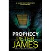 Peter James Prophecy (Tascabile)