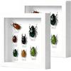 OUTALIZ Set di 2 Cornice Portafoto 3D, Cornice per Oggetti Profonda 3 cm, Cornici Profonda da Riempire 20 x 20 cm, con Lastra Acrilica Trasparente, Cornici 3D per Oggetti, per Regali Souvenir, Bianco