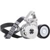 DAYCO Kit Cinghie Poly-V KPV327 | Compatibile con: AUDI A3, A3 Cabriolet, A3 Sportback, SEAT ALTEA, ALTEA XL, LEON, TOLEDO III, SKODA OCTAVIA II