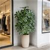 Kmitang Piante artificiali di Maranta da 50-75 cm, grandi palme finte, foglie di Monstera in plastica, piante tropicali per decorazioni di casa, ufficio e matrimoni