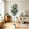 NONE Albero di Ulivo Artificiale 4.6FT-5.9FT, Pianta di Ulivo Finta con Foglie Realistiche, Albero Finto Realistico per Decorazione Casa, Camera da Letto, Balcone