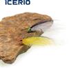 ICERIO 6 pezzi # 8 # 10 # 12 Esche Artificiali in Fibra Setosa EP Silky Fiber Minnow Streamer Fly Ice Dub Baitfish per Trota, Spigola, Luccio, Salmone