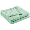 Madison Park Windom Microfibra giù alternativa macchia resistente coperta, pieno/regina, mare