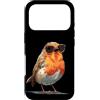Robin Bird Outfit Custodia per iPhone 17 Pro Occhiali da sole per gli amanti di pettirossi e piume