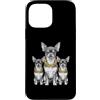 Cool 3 Hip Hop Trio Street Gold Chain Fu Custodia per iPhone 13 Pro Max Chihuahua Dog Rap Old School Retro Streetwear anni '80 '90 Tre