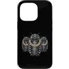 Cool 3 Hip Hop Trio Street Gold Chain Fu Custodia per iPhone 13 Pro Isopod Rap Old School Retro Streetwear anni '80 '90 Tre