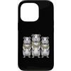 Cool 3 Hip Hop Trio Street Gold Chain Fu Custodia per iPhone 13 Pro Cavia Rap Old School Retro Streetwear 80s 90s Tre