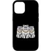 Cool 3 Hip Hop Trio Street Gold Chain Fu Custodia per iPhone 12/12 Pro Gatto persiano Rap Old School Retro Streetwear 80s 90s Tre