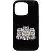 Cool 3 Hip Hop Trio Street Gold Chain Fu Custodia per iPhone 13 Pro Gatto persiano Rap Old School Retro Streetwear 80s 90s Tre