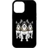 Cool 3 Hip Hop Trio Street Gold Chain Fu Custodia per iPhone 12 Pro Max Rat Terrier Rap Rap Old School Retro Streetwear anni '80 e '90
