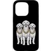 Cool 3 Hip Hop Trio Street Gold Chain Fu Custodia per iPhone 15 Pro Golden Retriever Rap Old School Retro Streetwear anni '80 e '90