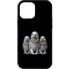 Cool 3 Hip Hop Trio Street Gold Chain Fu Custodia per iPhone 12 Pro Max African Grey Parrot Rap Old School Retro Streetwear anni '80 '90