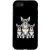 Cool 3 Hip Hop Trio Street Gold Chain Fu Custodia per iPhone SE (2020) / 7/8 Chihuahua Dog Rap Old School Retro Streetwear anni '80 '90 Tre