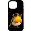 Robin Bird Outfit Custodia per iPhone 16 Pro Grazioso uccello con occhiali per gli amanti di pettirossi e piume