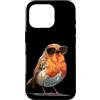 Robin Bird Outfit Custodia per iPhone 16 Pro Occhiali da sole per gli amanti di pettirossi e piume