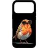 Robin Bird Outfit Custodia per iPhone 17 Pro Max Occhiali da sole per gli amanti di pettirossi e piume