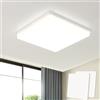EASY EAGLE Plafoniera Led Soffitto Quadrata 48W Moderni Luce 4000K 4800LM Lampada per Bagno Cucina Camera da Letto Sala Soggiorno Corridoio Ufficio Cantina Ø30CM, Pack of 2