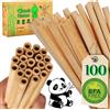 Claudi Home Cannucce riutilizzabili Premium in bambù naturale, confezione da 100 - Set di 100 cannucce compostabili da 20 cm x Ø8mm, + 1 spazzolino. Picnic, barbecue, feste, mojito, bar e ristoranti @Claudi Home